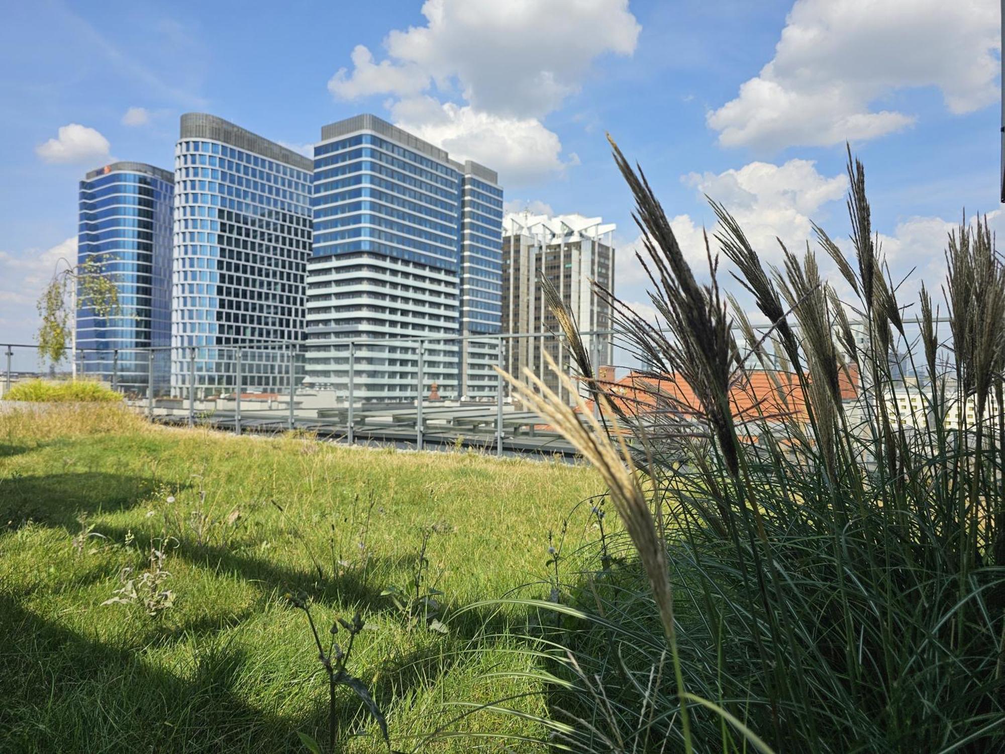 Urban Apartments Premium, Opolska 10 No 77B, Free Garage, Self Check-In カトヴィツェ エクステリア 写真